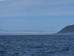 Kenai Seenebel