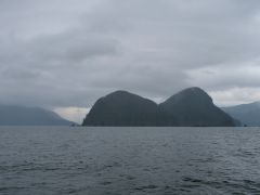 vor Elfin Cove