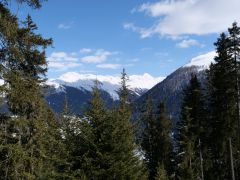Davos