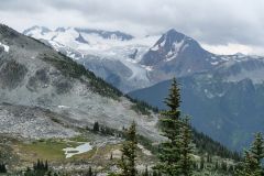 Whistler