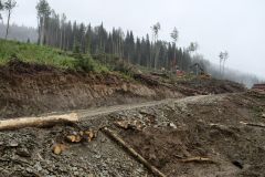 Gold Rush Back Road
