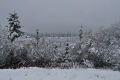 Glenn Hwy