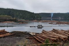 Beaver Cove