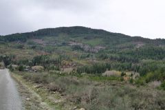 Carmanah Mainline