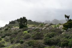 Teneriffa